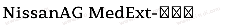 NissanAG MedExt字体转换
